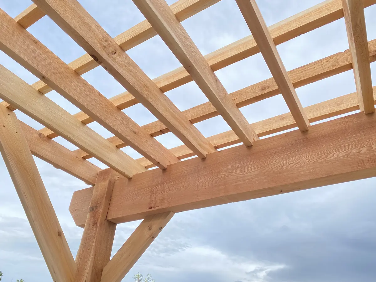 Looking up at cedar rafters and purlins against an open sky